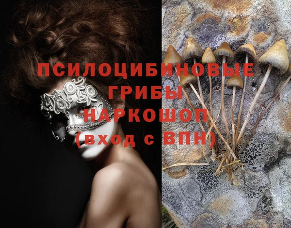 сатива Абаза