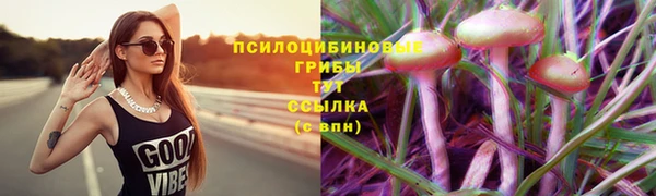 прущие крисы Алексин