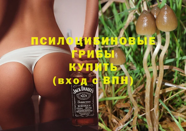 дмт Алзамай