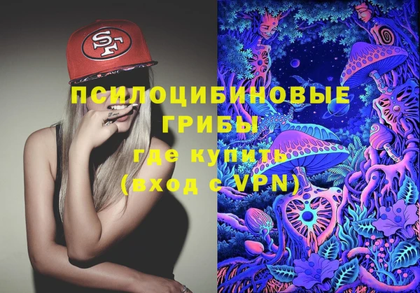 дмт Алзамай