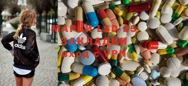 ПСИЛОЦИБИНОВЫЕ ГРИБЫ Семёнов