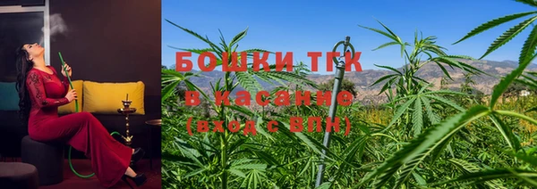 дмт Алзамай